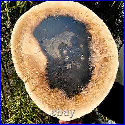 7.4LB Natural Petrified Wood Crystal Fossil Slice Shape Specimen HealingLarge 7.4LB Natural Petrified Wood Crystal Fossil Slice Shape Specimen HealingLarge