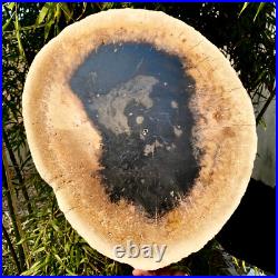 7.4LB Natural Petrified Wood Crystal Fossil Slice Shape Specimen HealingLarge 7.4LB Natural Petrified Wood Crystal Fossil Slice Shape Specimen HealingLarge