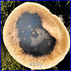 7.4LB Natural Petrified Wood Crystal Fossil Slice Shape Specimen HealingLarge 7.4LB Natural Petrified Wood Crystal Fossil Slice Shape Specimen HealingLarge