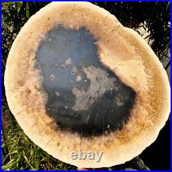 7.4LB Natural Petrified Wood Crystal Fossil Slice Shape Specimen HealingLarge 7.4LB Natural Petrified Wood Crystal Fossil Slice Shape Specimen HealingLarge