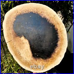 7.4LB Natural Petrified Wood Crystal Fossil Slice Shape Specimen HealingLarge 7.4LB Natural Petrified Wood Crystal Fossil Slice Shape Specimen HealingLarge