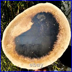 7.4LB Natural Petrified Wood Crystal Fossil Slice Shape Specimen HealingLarge 7.4LB Natural Petrified Wood Crystal Fossil Slice Shape Specimen HealingLarge