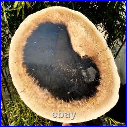 7.4LB Natural Petrified Wood Crystal Fossil Slice Shape Specimen HealingLarge 7.4LB Natural Petrified Wood Crystal Fossil Slice Shape Specimen HealingLarge