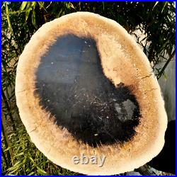 7.4LB Natural Petrified Wood Crystal Fossil Slice Shape Specimen HealingLarge 7.4LB Natural Petrified Wood Crystal Fossil Slice Shape Specimen HealingLarge