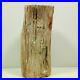 7_63_8lb_Amazing_PETRIFIED_WOOD_Branch_FOSSIL_AGATE_Standup_Madagascar_Y1269_01_tf