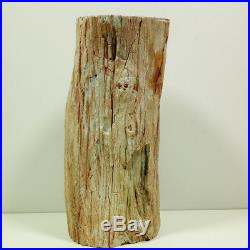 7.63.8lb Amazing PETRIFIED WOOD Branch FOSSIL AGATE Standup Madagascar Y1269