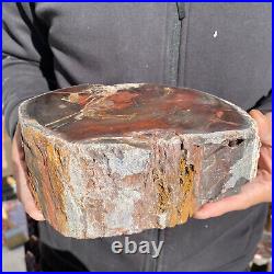 7.6LB Rare Natural petrified wood rough Wood fossil mineral specimen healing