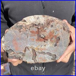 7.6LB Rare Natural petrified wood rough Wood fossil mineral specimen healing