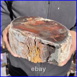 7.6LB Rare Natural petrified wood rough Wood fossil mineral specimen healing