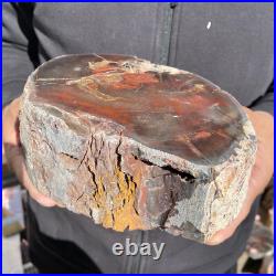 7.6LB Rare Natural petrified wood rough Wood fossil mineral specimen healing