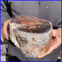 7.6LB Rare Natural petrified wood rough Wood fossil mineral specimen healing