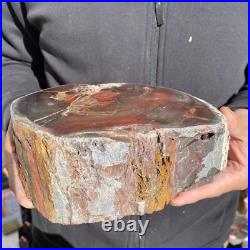 7.6LB Rare Natural petrified wood rough Wood fossil mineral specimen healing
