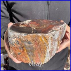 7.6LB Rare Natural petrified wood rough Wood fossil mineral specimen healing