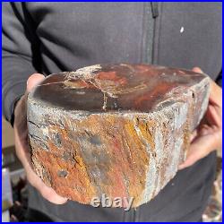7.6LB Rare Natural petrified wood rough Wood fossil mineral specimen healing