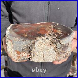 7.6LB Rare Natural petrified wood rough Wood fossil mineral specimen healing