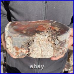 7.6LB Rare Natural petrified wood rough Wood fossil mineral specimen healing