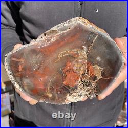 7.6LB Rare Natural petrified wood rough Wood fossil mineral specimen healing