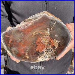 7.6LB Rare Natural petrified wood rough Wood fossil mineral specimen healing