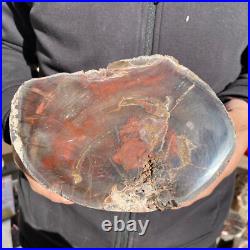7.6LB Rare Natural petrified wood rough Wood fossil mineral specimen healing