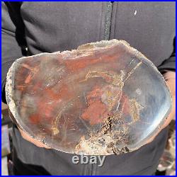 7.6LB Rare Natural petrified wood rough Wood fossil mineral specimen healing