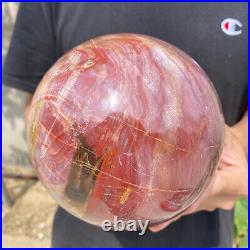 7.6lb Natural Petrified Wood fossil Quartz sphere Crystal Ball specimen Healing