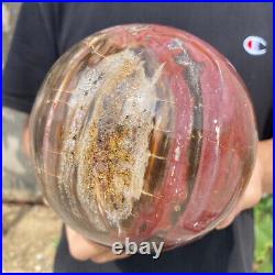 7.6lb Natural Petrified Wood fossil Quartz sphere Crystal Ball specimen Healing