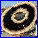 7_7LB_Large_Natural_Petrified_Wood_Crystal_Fossil_Slice_Shape_Specimen_Healing_01_ojx