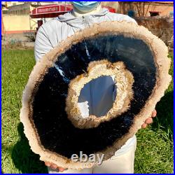 7.81LB Large Natural Petrified Wood Crystal Fossil Slice Shape Specimen Healing
