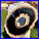 7_81LB_Large_Natural_Petrified_Wood_Crystal_Fossil_Slice_Shape_Specimen_Healing_01_qrj