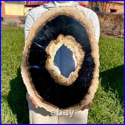 7.81LB Large Natural Petrified Wood Crystal Fossil Slice Shape Specimen Healing