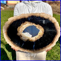 7.81LB Large Natural Petrified Wood Crystal Fossil Slice Shape Specimen Healing