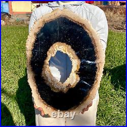 7.81LB Large Natural Petrified Wood Crystal Fossil Slice Shape Specimen Healing