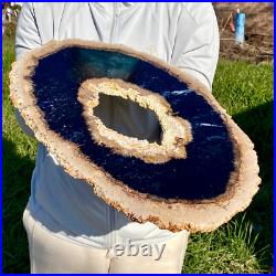 7.81LB Large Natural Petrified Wood Crystal Fossil Slice Shape Specimen Healing