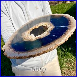7.81LB Large Natural Petrified Wood Crystal Fossil Slice Shape Specimen Healing