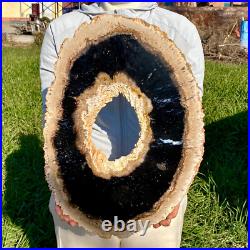 7.81LB Large Natural Petrified Wood Crystal Fossil Slice Shape Specimen Healing