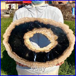 7.81LB Large Natural Petrified Wood Crystal Fossil Slice Shape Specimen Healing
