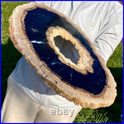 7.81LB Large Natural Petrified Wood Crystal Fossil Slice Shape Specimen Healing