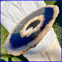 7.81LB Large Natural Petrified Wood Crystal Fossil Slice Shape Specimen Healing