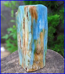 7.85 Kg Blue Opalized Petrified Wood Polished Beautiful stone for Home Decor