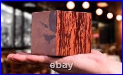 80MM Brown Petrified Wood Crystal Healing Chakra Gemstone Fossilized Wood Cube