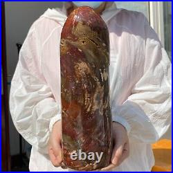 8180g Huge Petrified Wood Fossil Crystal Home Decor Decorated Display Specimen
