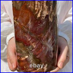 8180g Huge Petrified Wood Fossil Crystal Home Decor Decorated Display Specimen