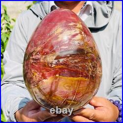 8280g Large Natural Red Petrified Wood Fossil Crystal Egg Specimen