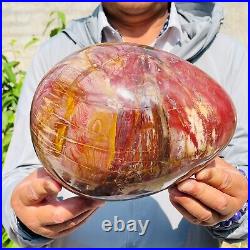 8280g Large Natural Red Petrified Wood Fossil Crystal Egg Specimen