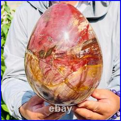 8280g Large Natural Red Petrified Wood Fossil Crystal Egg Specimen