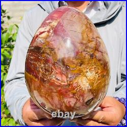 8280g Large Natural Red Petrified Wood Fossil Crystal Egg Specimen