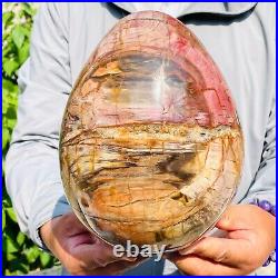 8280g Large Natural Red Petrified Wood Fossil Crystal Egg Specimen