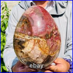 8280g Large Natural Red Petrified Wood Fossil Crystal Egg Specimen