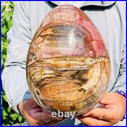 8280g Large Natural Red Petrified Wood Fossil Crystal Egg Specimen