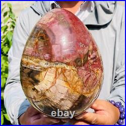 8280g Large Natural Red Petrified Wood Fossil Crystal Egg Specimen